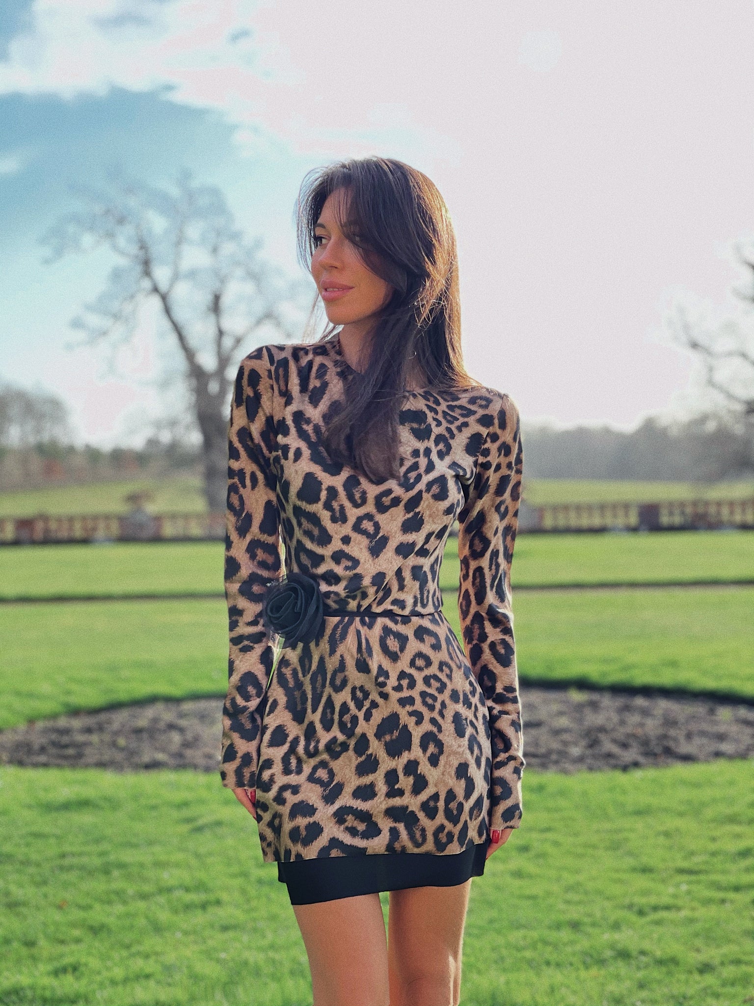 Leopard Mini Dress